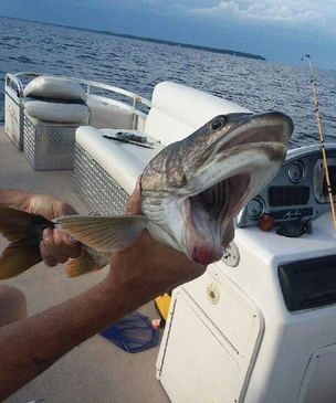 Жительница Нью-Йорка поймала жуткую рыбу с двумя ртами