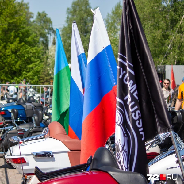 Источник: Павел Красоткин / 72.RU 