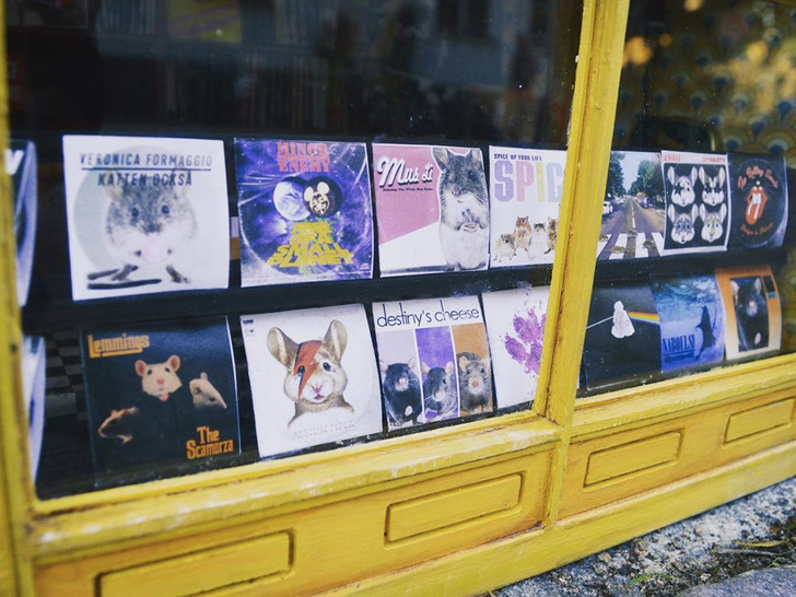 Музыкальный магазин для мышей в Швеции