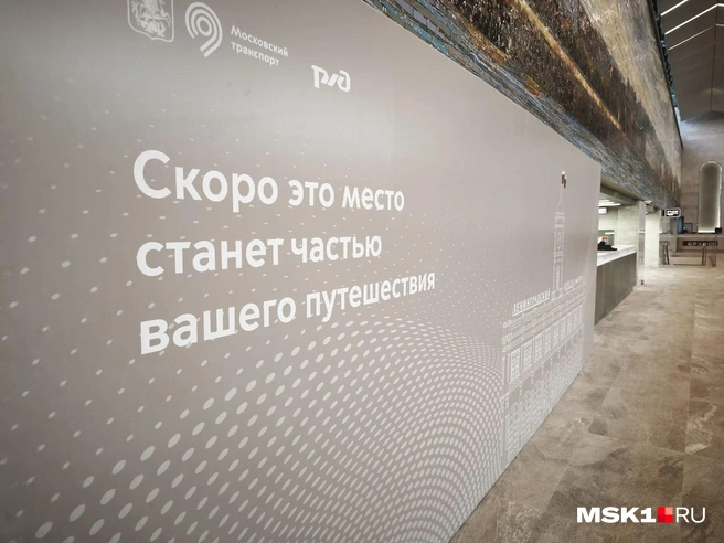 Частично Ленинградский вокзал все еще перекрыт  | Источник: Михаил Мечев / MSK1.RU