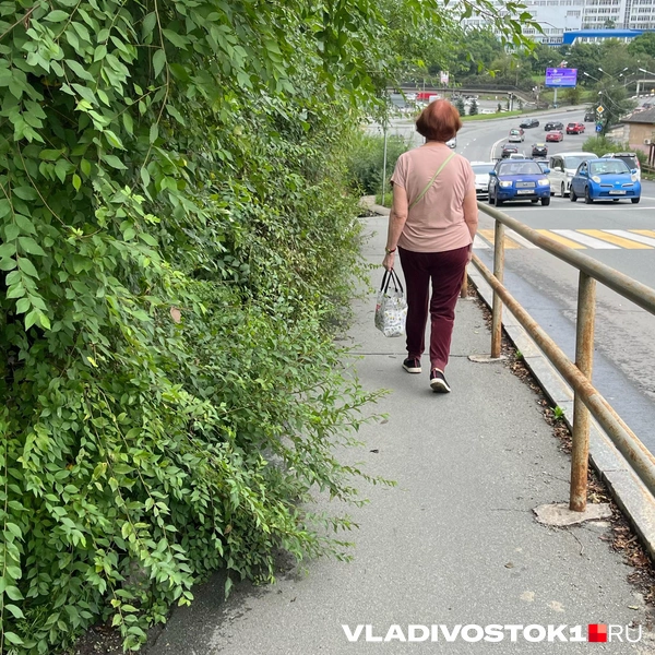 Источник: Елена Буйвол / VLADIVOSTOK1.RU