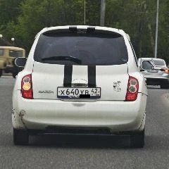 Источник: www.city-n.ru