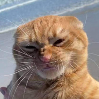 Аватарка Кисонька