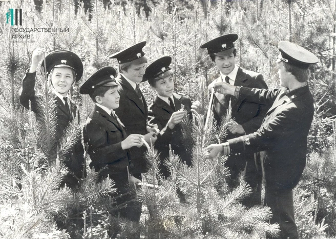 В Полазне школьники помогали местному лесничеству, 1984 год | Источник: Государственный архив Пермского края