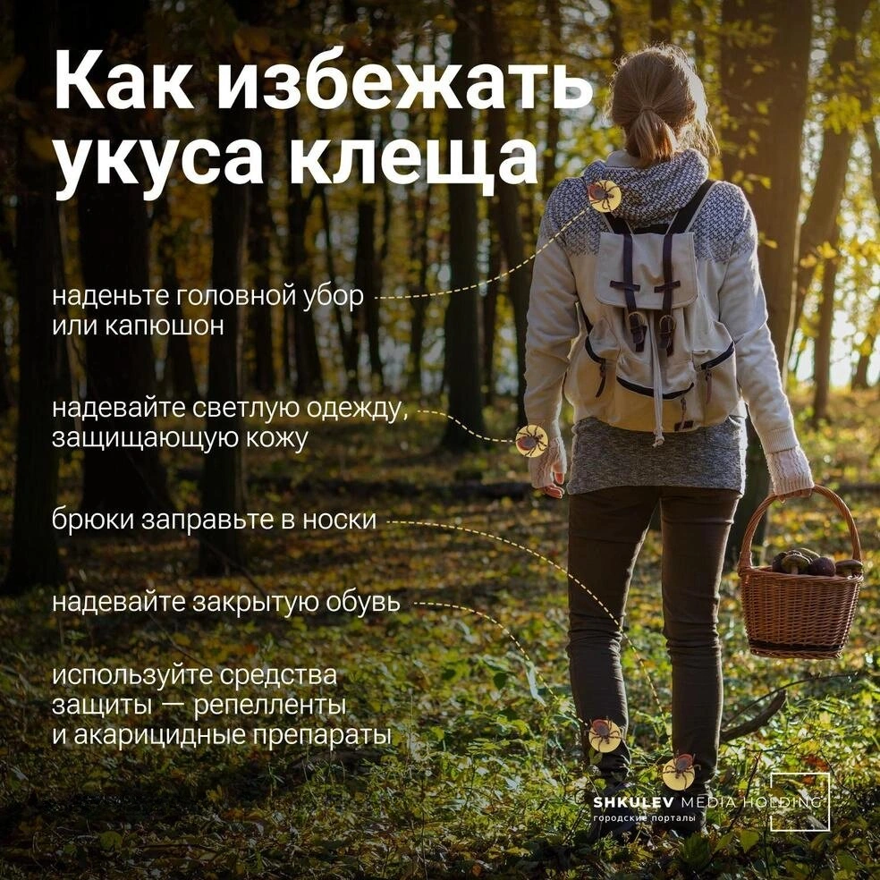 Инструкция | Источник: Виталий Калистратов / Городские порталы
