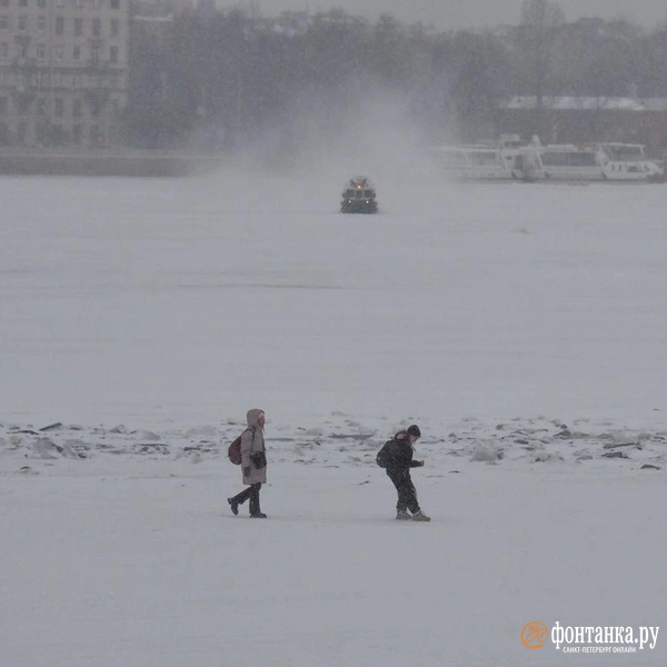 Источник: Михаил Огнев / FONTANKA.RU
