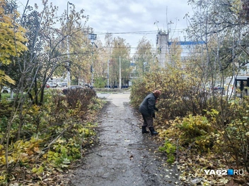 Пока что пенсионерка трудится в одиночку | Источник: Кристина Мельникова / YA62.RU