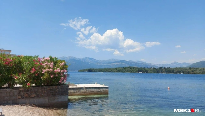 У отдыха в Черногории практически нет альтернатив | Источник: Анна Голубницкая / MSK1.RU