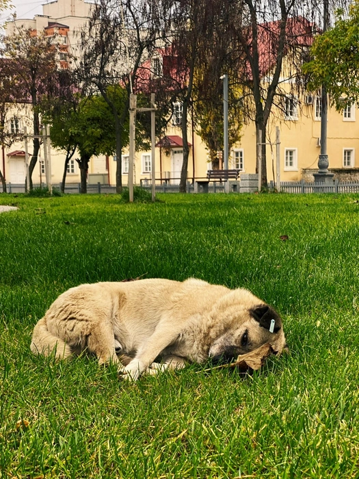 Источник: Юлия Воропаева