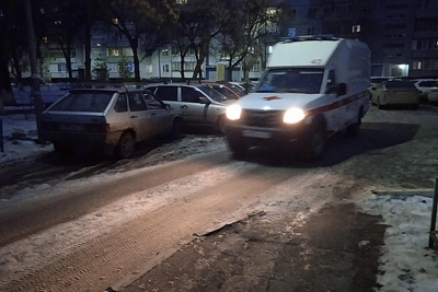 Житель Ульяновской области умер от мышиной лихорадки