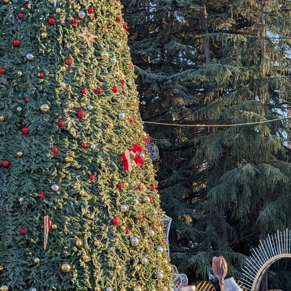 Люди фотографируются с тем, что есть  | Источник: Мария Штурм / SOCHI1.RU