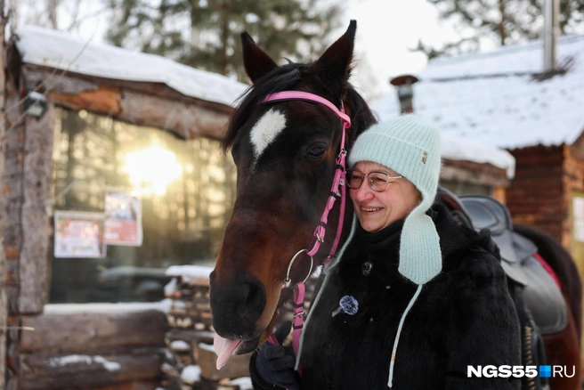А вы любите лошадей? | Источник: Евгений Софийчук / NGS55.RU