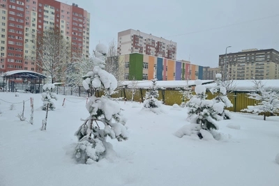 Работы по уборке после снегопада в Рязани