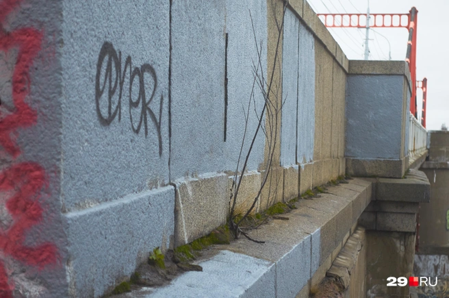 Из некоторых частей моста растут кусты | Источник: Антон Данилов / 29.RU