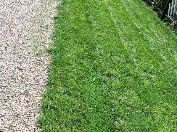 Источник: «Парк Декор»