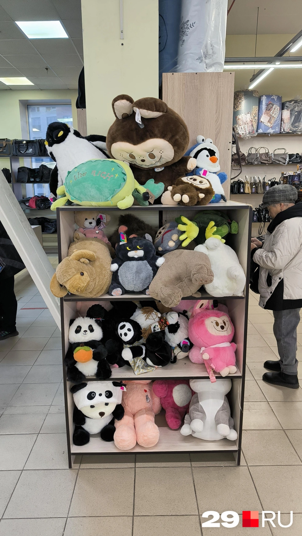 Спят усталые игрушки | Источник: Юрий Скородумов / 29.RU 