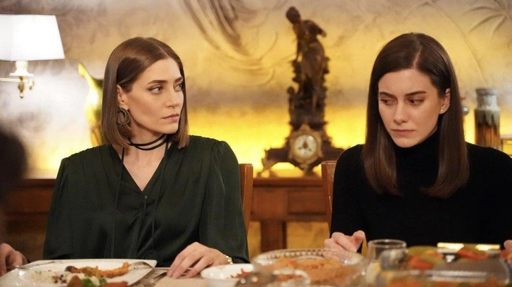 Источник: Кадр из сериала «Зимородок»