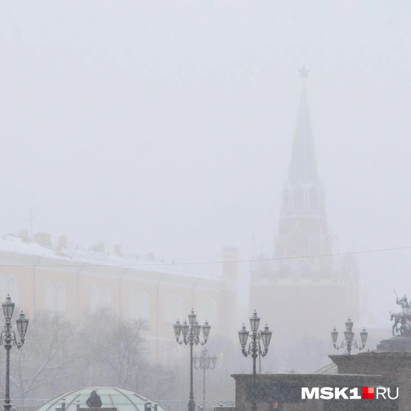 Источник: Татьяна Спиридонова / MSK1.RU