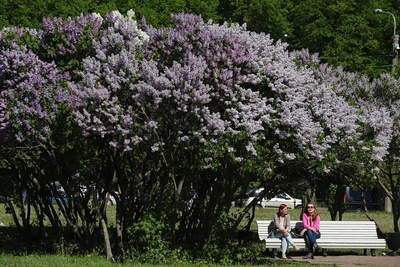 Две недели длинных выходных: как отдыхаем на майские