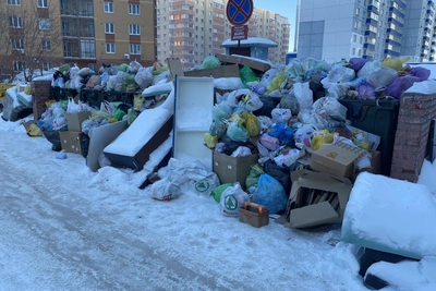 «САХ» назвал причину гор мусора в Новосибирске