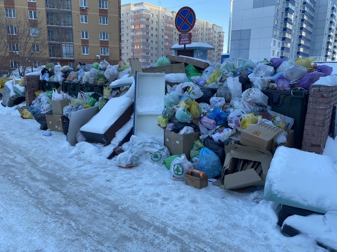 Столько мусора накопилось на площадке рядом с улицами Выборной и Рябиновой | Источник: читатель НГС