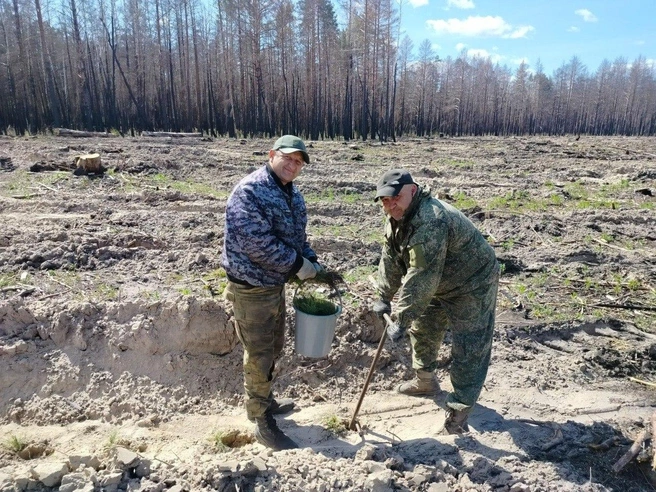 Источник: пресс-служба администрации Кургана