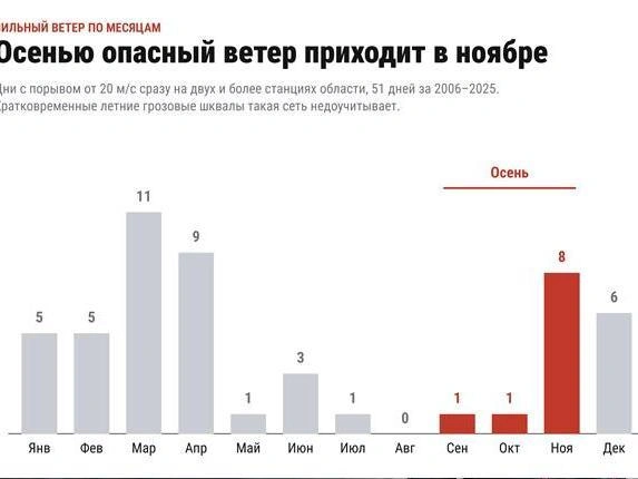 Источник: предоставлено ЮФУ