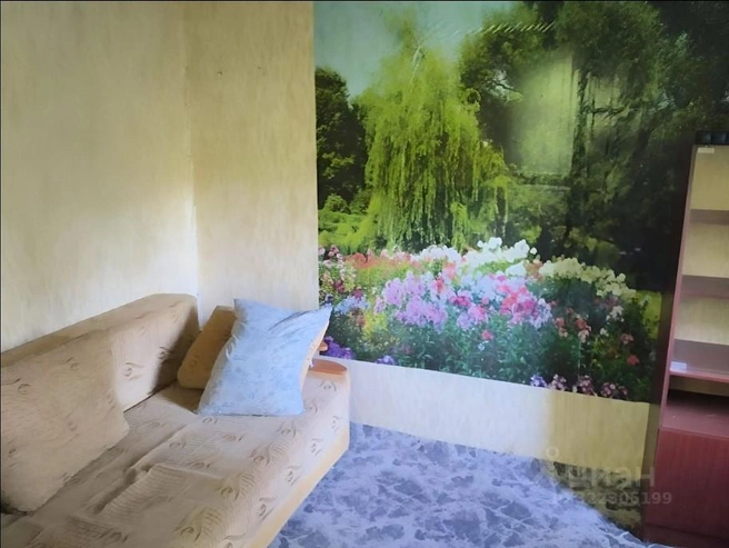 На первом этаже в основной комнате — фотообои | Источник: novosibirsk.cian.ru