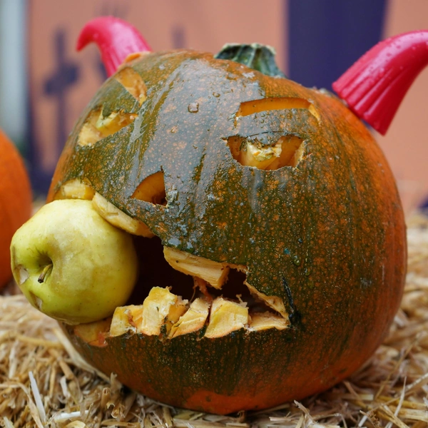 Источник: Unsplash