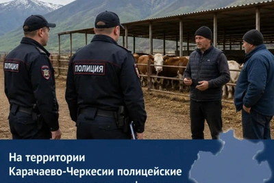 Итоги операции «Животноводческая ферма» в КЧР