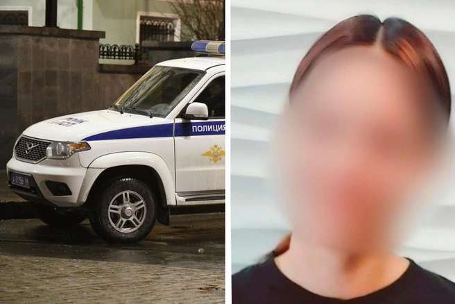 Девочка должна была встретиться с бабушкой, но они разминулись | Источник: Артем Устюжанин / E1.RU; «ЛизаАлерт»