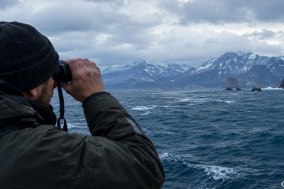 На Камчатке создадут команду спасения морских животных