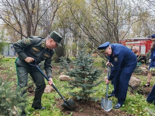 Источник: tatarstan.sledcom.ru