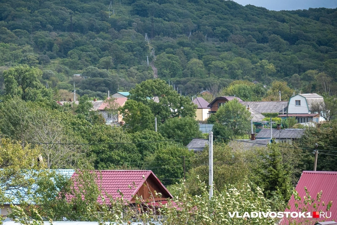 Источник: Елена Буйвол / VLADIVOSTOK1.RU