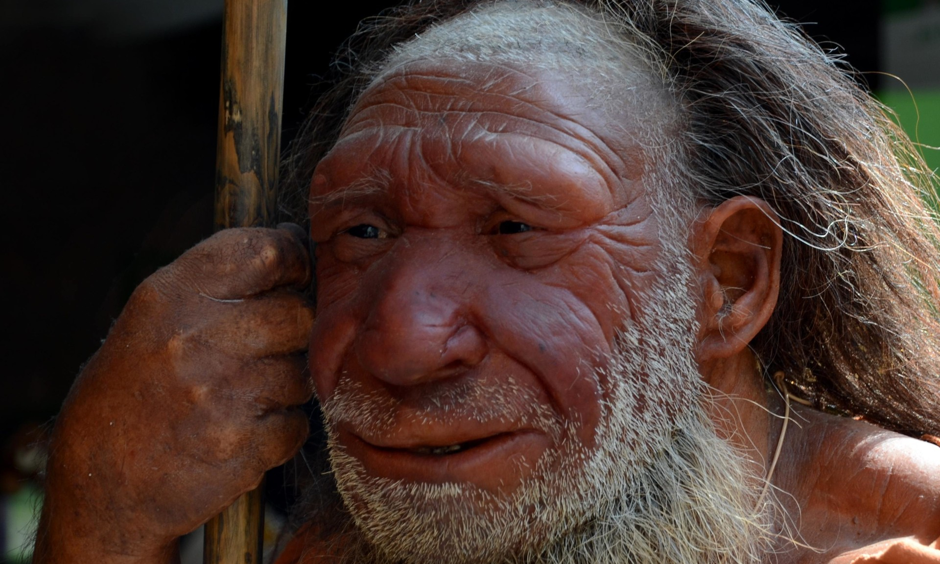 Неандертальцы подсказали причину боли в пояснице у современных людей