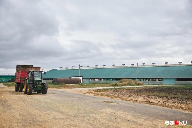 «ЭкоПродукт» на рынке с 2013 года | Источник: Роман Данилкин / 63.RU