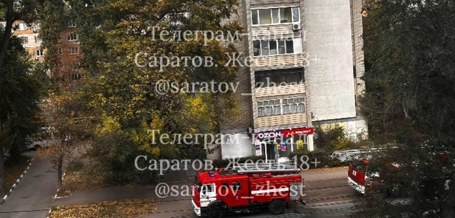 Такое фото сделали соседи | Источник: Саратов. Жесть 18+ / Telegram