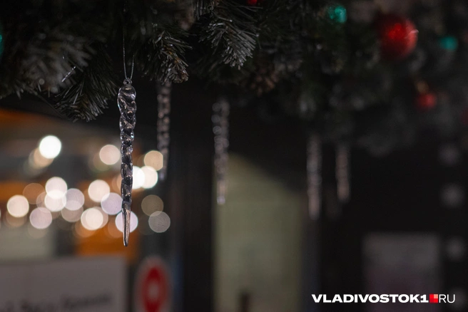 Источник: Елена Буйвол / VLADIVOSTOK1.RU