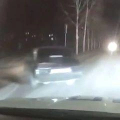 Источник: www.city-n.ru
