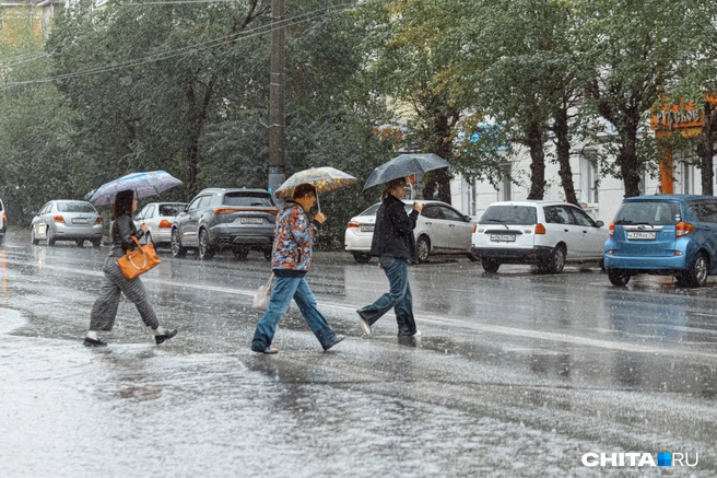 Уже скоро на Кубани сильно похолодает | Источник: Олег Фёдоров / CHITA.RU