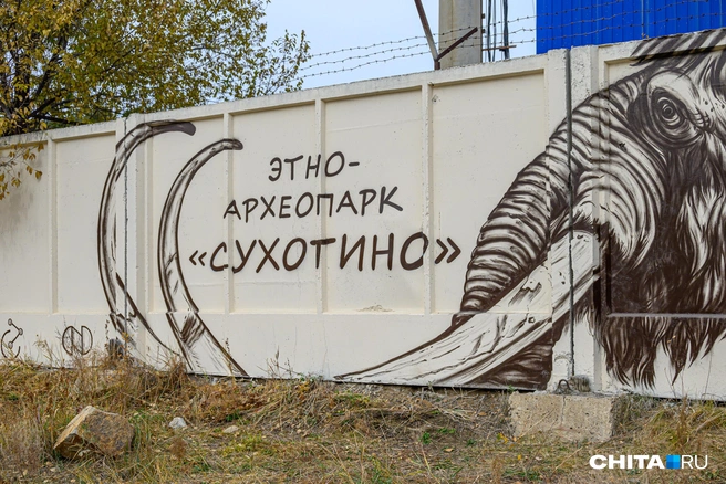 Парк хотят включить в список объектов всемирного наследия ЮНЕСКО в России | Источник: Олег Федоров / CHITA.RU