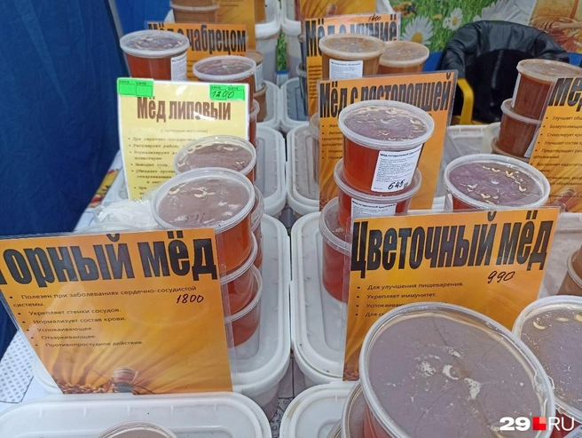 Источник: Иван Митюшёв / 29.RU