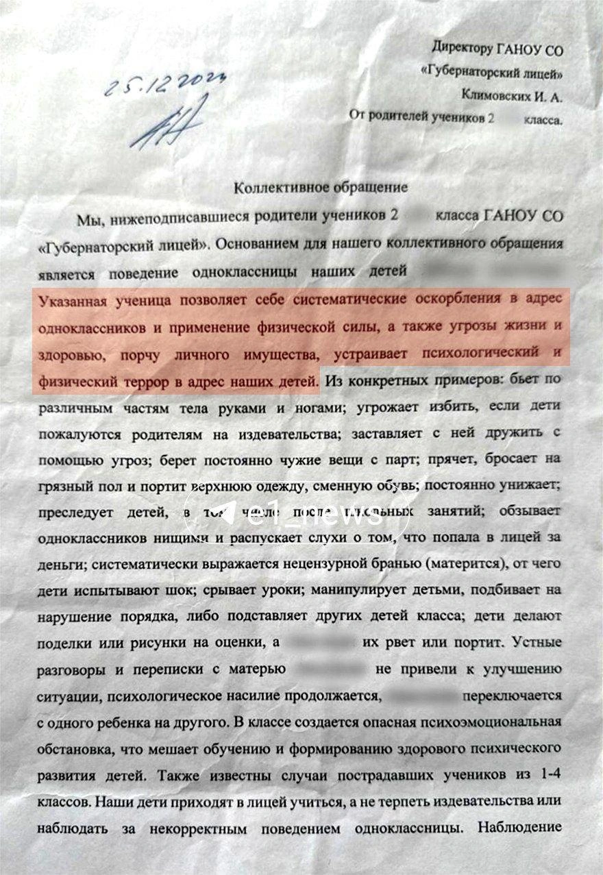 По версии другой мамы, Лиза изводит своих одноклассников | Источник: читательница E1.RU Ирина