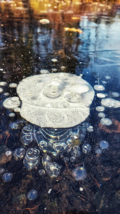 Источник: Лилия Гарипова / Vk.com