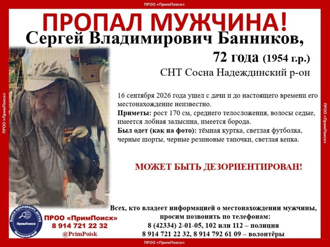 Источник: ПРОО «ПримПоиск» / T.me