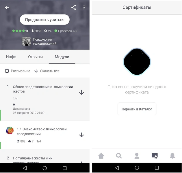 Источник: Stepik