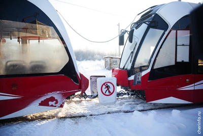 В Череповце за январь выявлено семь зацеперов