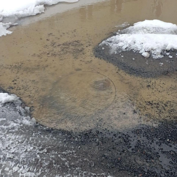 Источник: Транспортный КОЛЛАПС, Красное Село. Новости и события / Телеграм