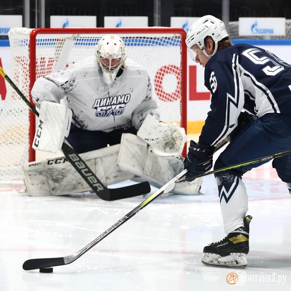 Источник: Марина Мамонтова / Фонтанка.ру