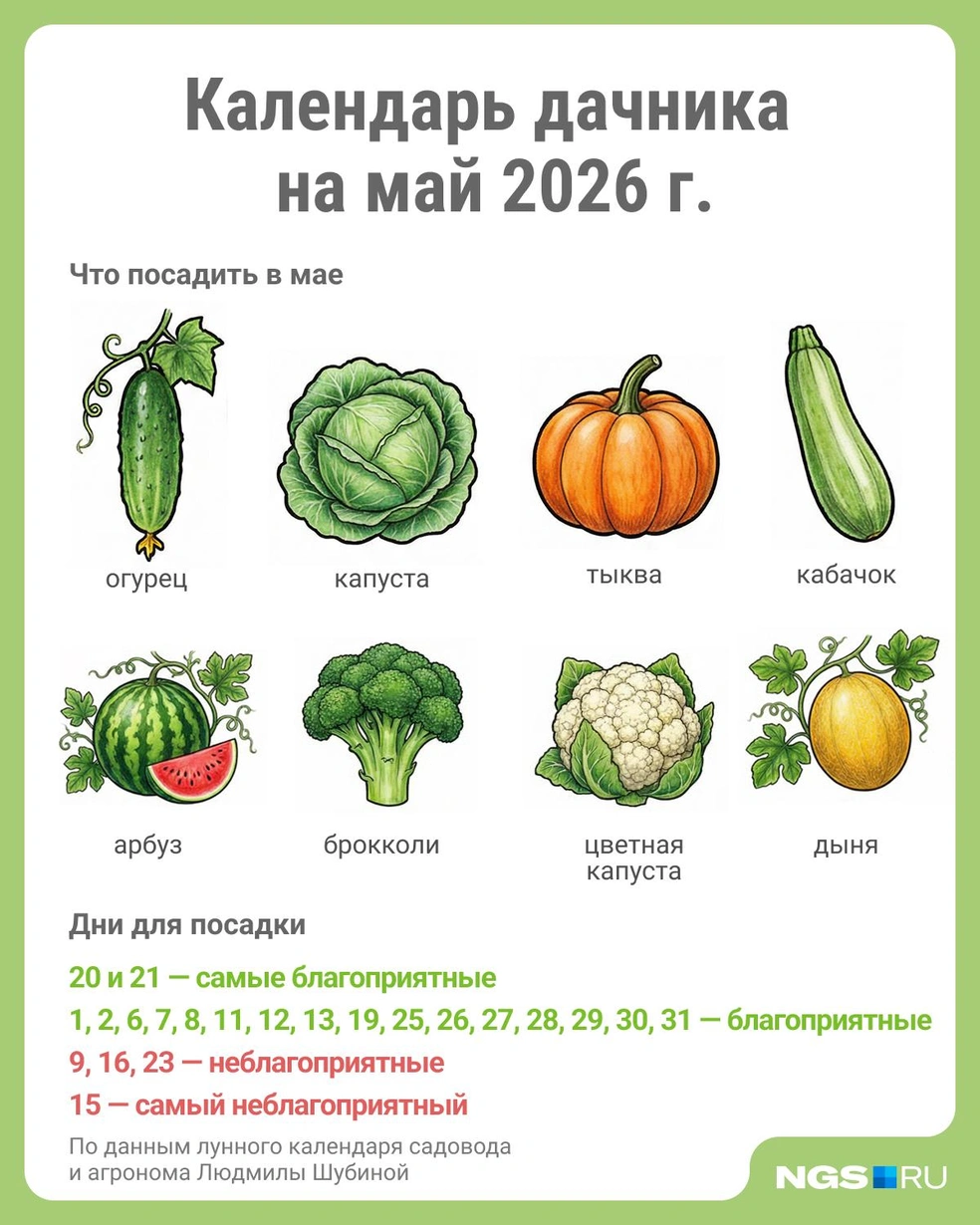 Источник: Юрий Орлов / Городские медиа